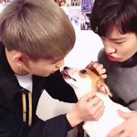 대놓고 개차별에 <b>마상</b> 입는 남돌