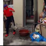 <b>노인</b>에게 상습폭행 당하며 살고 있는 아기백구