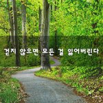 [좋은생각] 걷지 않으면 모든 걸 잃어버린다~