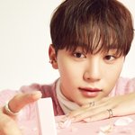 [세븐틴] 이화보 부승관 진짜 부드럽게 생겼다