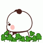 <b>행운</b>을