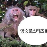<b>네이버</b>페이랑 현금이랑 바꿀 사람ㅜㅜ