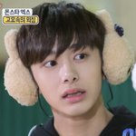 몬엑 <b>형원</b> 닮은꼴 찾음