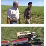 토마토 <b>쥬스</b>가 유난히 싼 이유