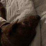 [19] 당근마켓 50% 깎아달라고 해도 돼?