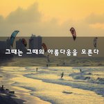 [50대] 그때는 그때의 아름다움을 모른다~