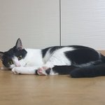 [조언부탁해] 수술