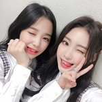 위클리 <b>지한</b> 조아 보고가