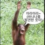 난 <b>몇달</b> 전에 판하기 전까진