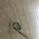심심해서 머리카락 <b>봉투</b> 묶듯이 묶었는데
