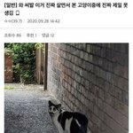 다이어트 1일차 벌써 <b>위기</b> ㅅㅂ