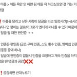 [군대] <b>마</b><b>플</b> 규칙 좀 지키자 제발