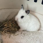 [19] 나 <b>초딩</b>때 세수가 걍 <b>몸</b> 비비는건줄앎;;