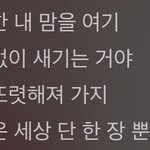 엔하이픈 폴라로이드 <b>러브</b> 가사 뭐임