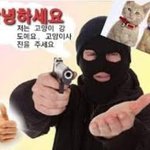 [댓글부탁해] 짝남이 고양이키운다해서 이짤 보냇는데