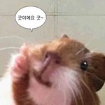 인프피 친구 있는데 인프피들 진짜 신기한게