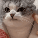 [드루와] 꽤 짙은 <b>음영</b>도 어울리는 거면