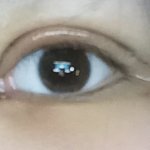 나 쌍수 <b>속</b>쌍각인가?