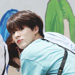 [NCT드림] 살면서 이젠오처럼 사람 같은 강아지 처음 봄