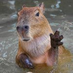 집이 없어 같이 재밌는 <b>웹툰</b> 어딨냐