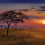 [NCT드림] 런쥔이 진짜 <b>천재</b> 아닐까