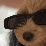 <b>파마</b> 했는데 ㅇㄸ