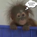 넘지마라 볼<b>덜</b>라인~ <b>니</b>가 비빌곳이 아니야~