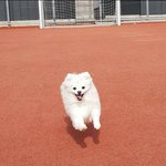 [드루와] 강아지가 쌤들 연밍아웃 시킴