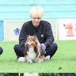 <b>슈</b>가 뭐냐