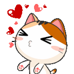 난 <b>일편</b>단심 해바라기 타입임