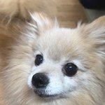 [댓글부탁해] 나 오늘 고모부 죽.일뻔했음