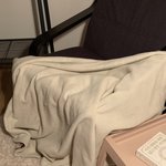 [댓글부탁해] 얘네 색<b>조합</b> 이상하지 않아?