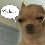 [19] 인스타로 무례한 디엠 받아본 판녀있음????