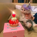 <b>설날</b>이라 다들 바쁘냥? 오늘 내 생일이다