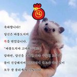 <b>설날</b>에 꼭 봐야할 짤