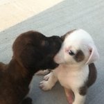 [드루와] 너희 설 용돈으러 머 할꺼임??