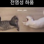 [BTOB] 쁘니 진짜 너무 귀여워