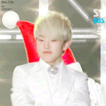 [세븐틴] <b>데뷔후</b> 처음 맞는 호랑이 해라