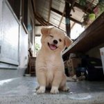 [댓글부탁해] 지<b>우학</b> 다 본 애들아 스포 좀 해주라ㅜ