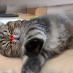 술에취해
