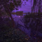 [댓글부탁해] <b>숏코트</b> 2월 중순에 입으면 얼뒤냐?