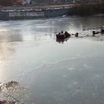 <b>썰매</b>타다 연못에 빠진 여아 2명등 일가족 4명 구조