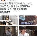 [방탄소년단] 아 민고양이 진짜ㅋㅋㅋㅋㅋㅋㅋㅋ
