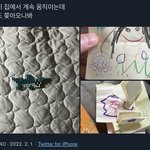 [NCT칠프] 태용이네 <b>꼬물</b>이들이 계속 용이ㅡ쫓아다니나봄