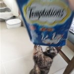 [고뚜기<b>TV</b>] 우리 고뚜기 보러 오세요.