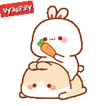 <b>통통</b>