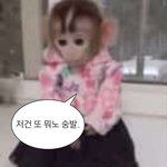 [댓글부탁해] +)스토리에 세뱃돈 달라고 <b>계좌</b>올리는애들