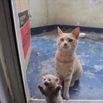 [드루와] 진짜 짝사랑은 <b>웬만</b>해선 하는게 아니라고 느낌