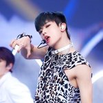 주연 호랑이 <b>이</b> 사진은