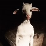 <b>윗층</b> 애새끼 뛰는거 진짜 미칠것같음